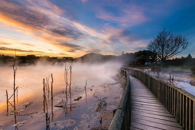 6.5 hour Small-Group Rotorua Naturally Shore Excursion - Tauranga - Key highlights you’ll actually care about