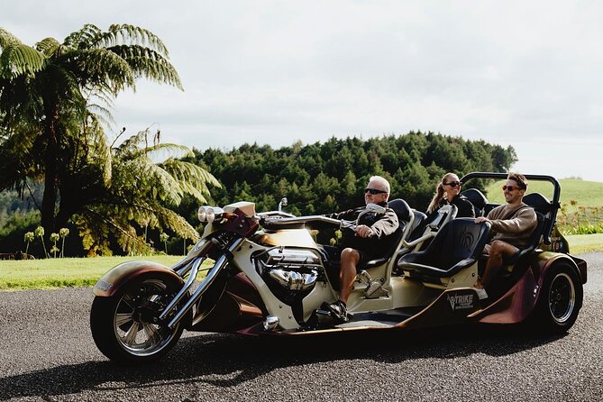 6.5 hour Small-Group Rotorua Naturally Shore Excursion - Tauranga - Glow worm cave: the guided nighttime-style bonus