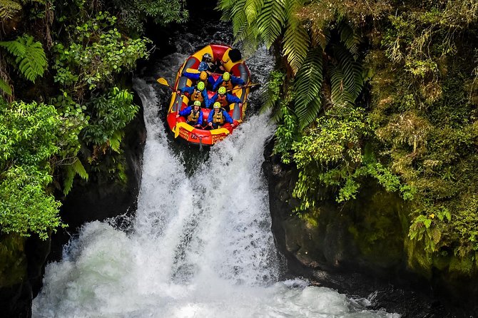 6.5 hour Small-Group Rotorua Naturally Shore Excursion - Tauranga - Price and value: what $135.91 buys you here
