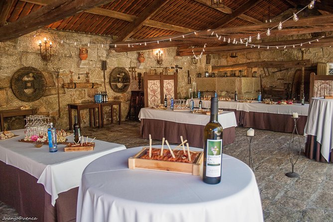 Albariño trails Private Wine Tour/Shore excursion from Vigo - Key points before you go