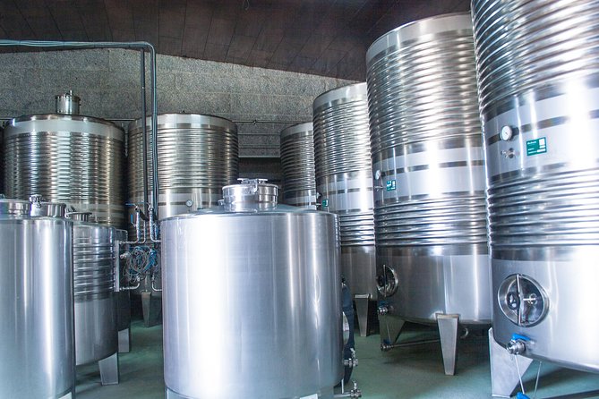 Albariño trails Private Wine Tour/Shore excursion from Vigo - What you’ll learn as you pass through Albariño country