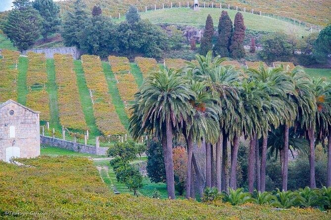 Albariño trails Private Wine Tour/Shore excursion from Vigo - Price and value: what $403.38 really buys you