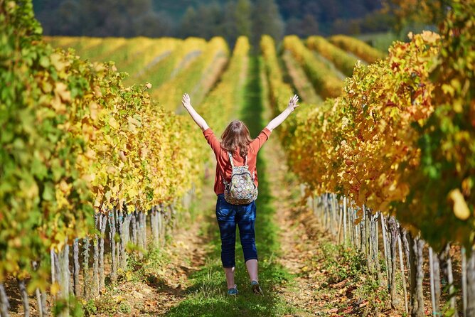 All Tuscany Private Siena San Gimignano & Chianti Livorno Shore Excursion - A Chianti Winery Visit: Included Visit, Optional Tasting