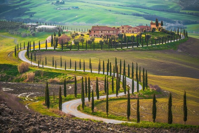 All Tuscany Private Siena San Gimignano & Chianti Livorno Shore Excursion - The Driver Matters: Prompt Pickup, Friendly Guidance, Your Day Stays Yours
