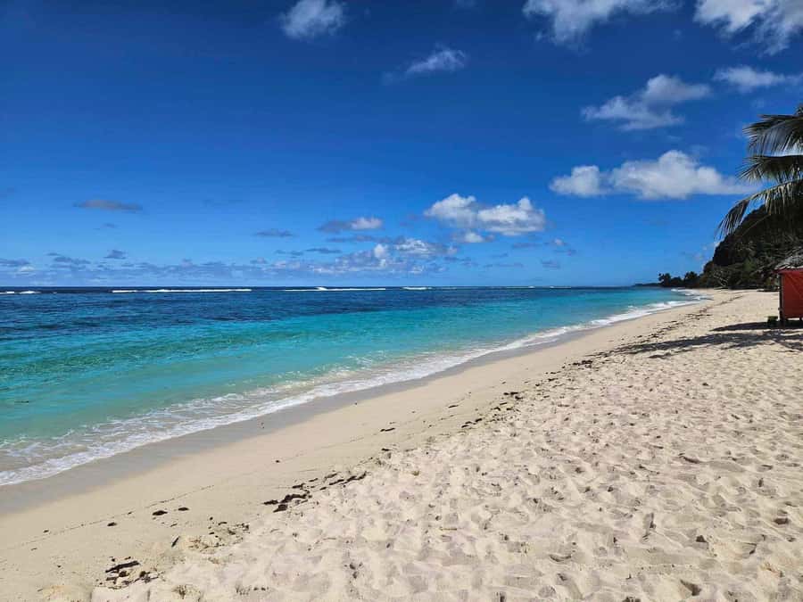 Apia Port: Cruise Guests’ Shore Excursion - A Cruise Day That Actually Feels Like a Day