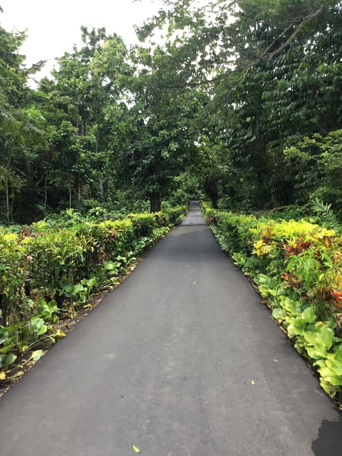 Apia Port: Cruise Guests’ Shore Excursion - Who This Tour Suits Best