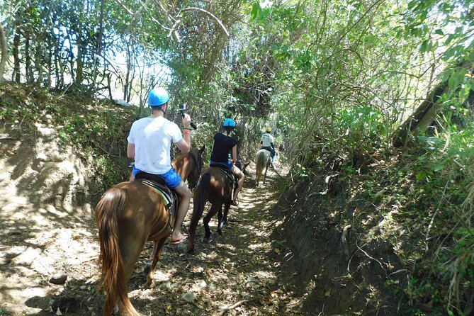 ATV and Horse Riding in Puerto Plata / Shore Excursion & Hotel - Switching Gears: Rest, Then Horseback Riding on Farmland