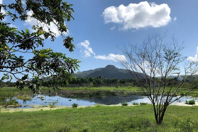 ATV and Horse Riding in Puerto Plata / Shore Excursion & Hotel - How Long It Really Takes (and How to Use the Rest of Your Day)