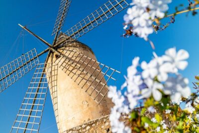 Best Palma de Mallorca and ValLdemossa Tour from Cruise Port - Valldemossa: cobbled lanes, mountain air, and why artists came here