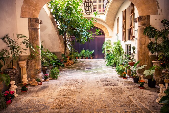 Best Palma de Mallorca and ValLdemossa Tour from Cruise Port - Price and value: why $82.68 can work on a cruise day