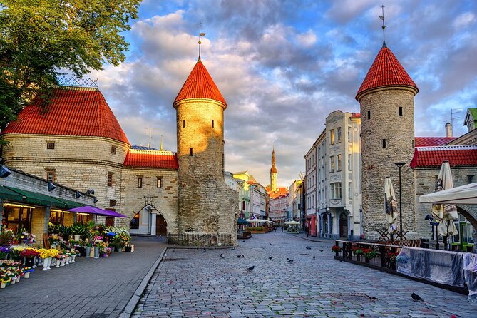 Best Tallinn Shore Excursion from Cruise Port - Kohtuotsa viewing platform: the best payoff for your walking effort