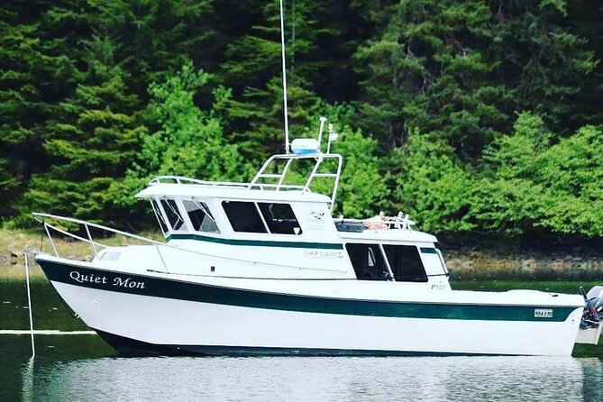 Best Whale Watching and Wildlife Shore Excursion in Sitka - Six passengers, not sixty: what makes Sitka Sound work on a small boat