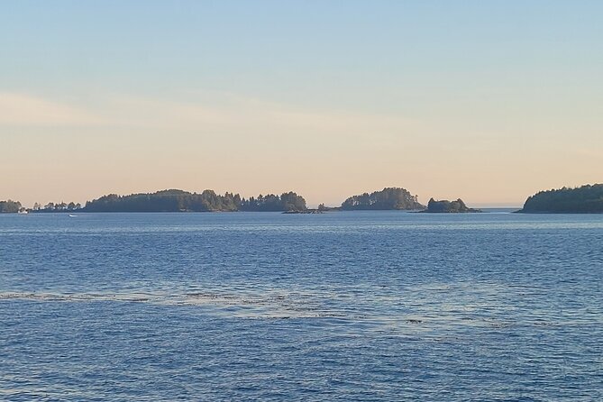 Best Whale Watching and Wildlife Shore Excursion in Sitka - How your captain improves your odds without crowding the whales