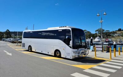 Bonorong & Richmond: Shore Excursion (Private Tour) - Bonorong Wildlife Sanctuary: what to expect in 60 minutes