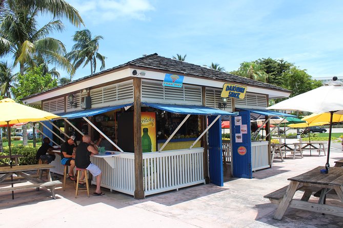 Bus for a Day (Shore Excursion) - Who should book Bus for a Day, and who might want a different Nassau plan?