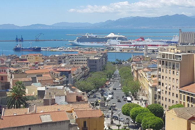 Cagliari Private Shore Excursion: Hop-on Hop-off City Experience - Key highlights worth planning around