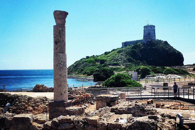 Cagliari Private Shore Excursion: Nora Archaeological Site and Pula Town - Who should book this Nora and Pula shore excursion?