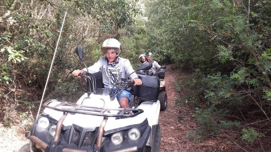 Cagliari: Quad Adventure Shore Excursion - The Heart of the Tour: Mountains, Forest, and Real Sardinia Views