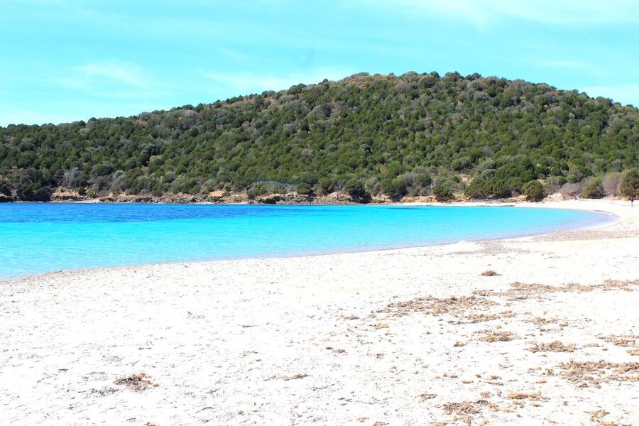 Cagliari Shore Excursion: Amazing Hidden Beaches Jeep Tour - Key highlights you’ll actually feel