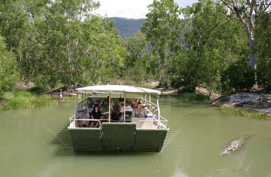 Cairns Shore Excursion: Crocodile & Wildlife Park Tour - The Wetlands Cruise: Coastal Melaleuca and a Boat Made for Close Viewing