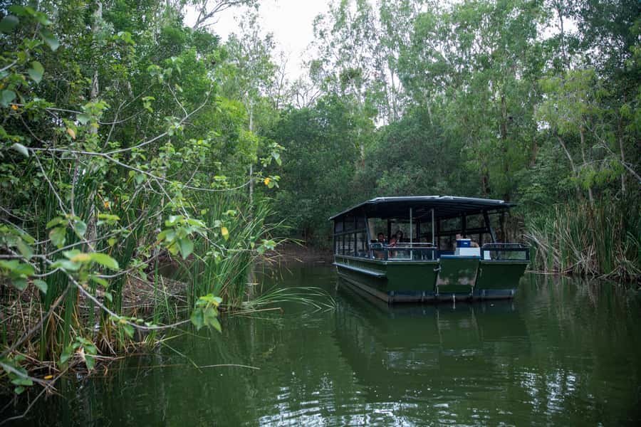 Cairns Shore Excursion: Crocodile & Wildlife Park Tour - What You’ll Actually See on the Cruise (And How to Improve Your Odds)