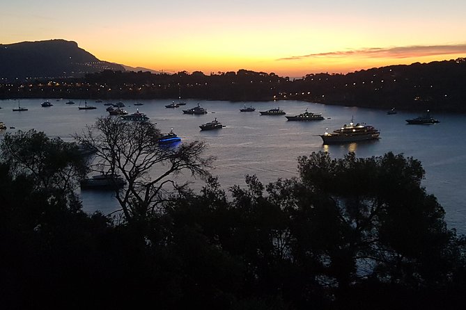 CANNES Shore Excursion: French Riviera Highlights with your Guide - Monaco’s Prince’s Palace stop: a classic sight with a time limit