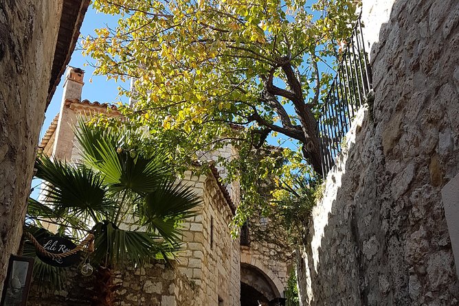 CANNES Shore Excursion: French Riviera Highlights with your Guide - How the customization actually helps (not just in theory)