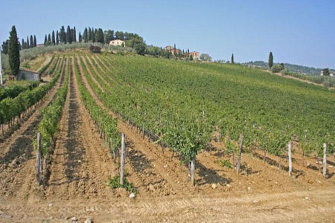 Chianti Experience Shore Excursion from Livorno Port - Price and Logistics: What You’re Paying for at $1,069.41 per Group