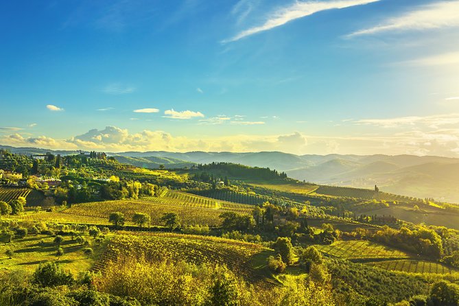 Chianti Experience Shore Excursion from Livorno Port - Castello di Montefioralle: Medieval Streets and Vineyard Views Without the Rush
