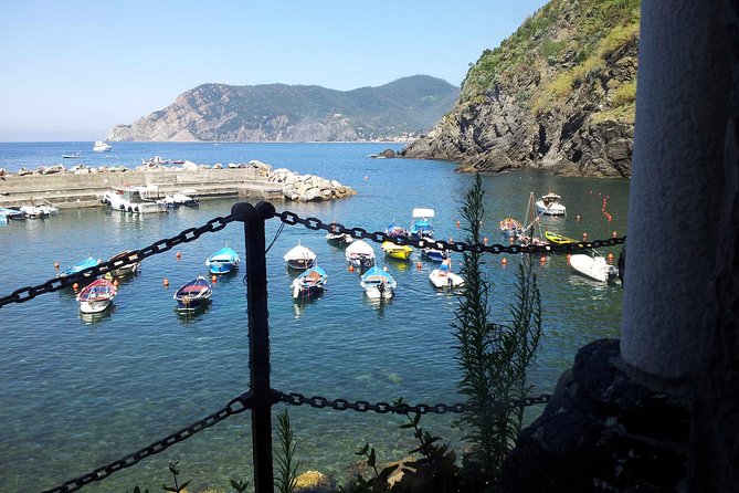 Cinque Terre Private Tour by Minivan and Ferry-Boat Shore excursion from Livorno - Cinque Terre villages: what you’ll do at each stop
