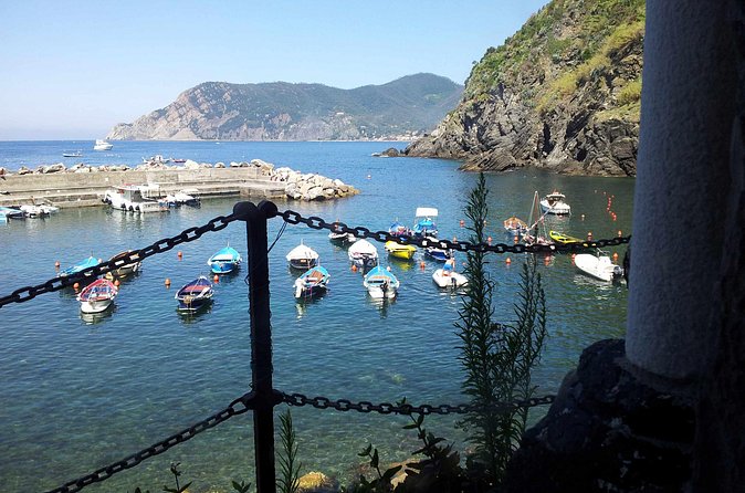 Cinque Terre Private Tour by Minivan and Ferry-Boat Shore excursion from Livorno - Value check: $479.36 per person and what you’re actually paying for