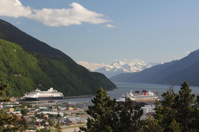 City and Mountain Summit Shore Excursion in Skagway - Quick Takeaways Before You Go