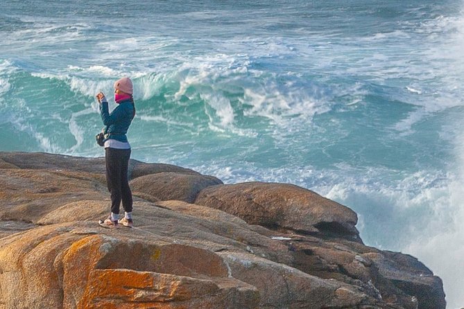 Costa da Morte/Finisterre from La Coruña Private Tour/Shore excursion - Who This Tour Fits Best