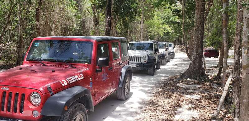 Cozumel: Private Jeep Tour Shore Excursion - How the 5-hour route really fits a cruise day