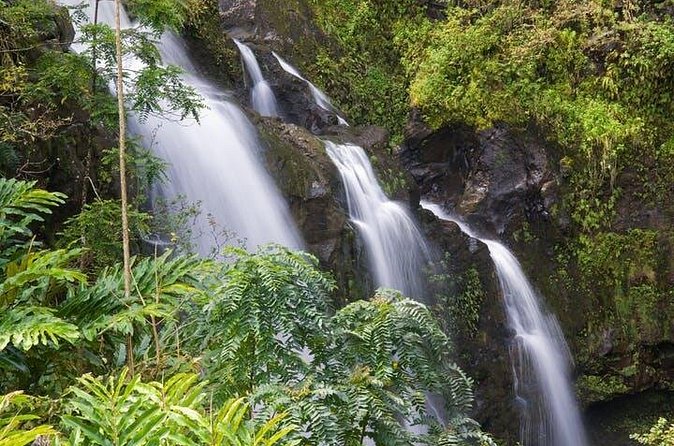 Cruise Ship Shore Excursion: Kahului Heavenly Hana Tour - Waterfalls and rainforest time: what you gain from road viewing