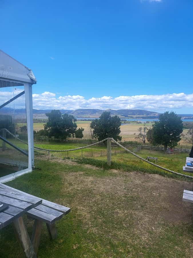 Cruise Ship - Wine Shore Excursion - Hobart - Price and Value: Is $155 Worth It?