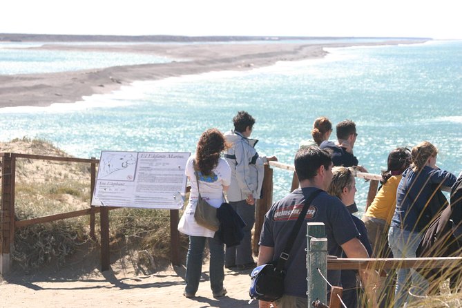 Cruise Shore Excursion Peninsula Valdes - Pto Madryn - Patagonia - Argentina - Caleta Valdes: where penguins and elephant seals steal the show