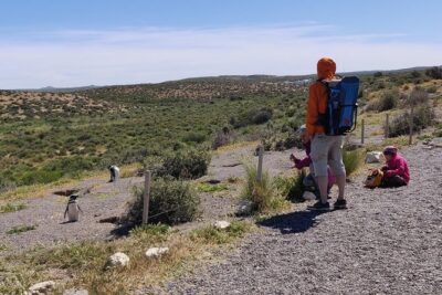 Cruise Shore Excursion Punta Tombo with Boxlunch from Pto Madryn - Stop 1: Entering Punta Tombo and the Penguin Life-Cycle Lesson