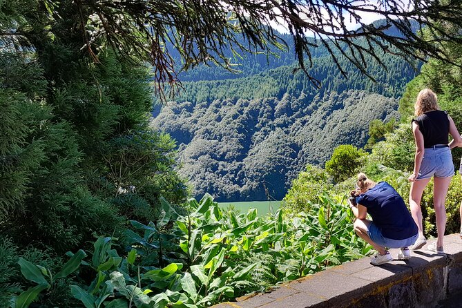 Cruise Travellers : Furnas Volcano & Terra Nostra Thermal Pool - Gorreana Tea Plantation: a calm stop with a real flavor payoff