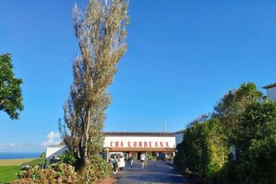 Cruise Travellers : Furnas Volcano & Terra Nostra Thermal Pool - Furnas Volcano: steam, sulfur, and the island’s slow power