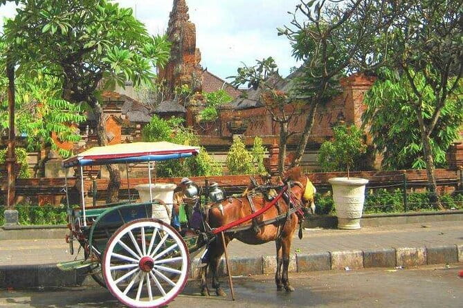 Discover Bali : Shore Excursion from Benoa Port with Free Wi-Fi - From Benoa Port to Bali’s North: why this route works from a cruise