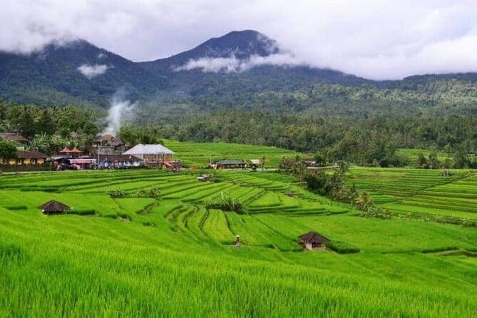 Discover Bali : Shore Excursion from Benoa Port with Free Wi-Fi - Comfort and value: air-con car, free Wi‑Fi, and bottled water