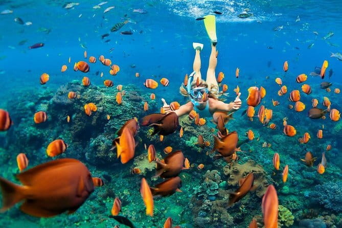 Discover Bali : Shore Excursion from Benoa Port with Free Wi-Fi - Should you book Discover Bali from Benoa Port?