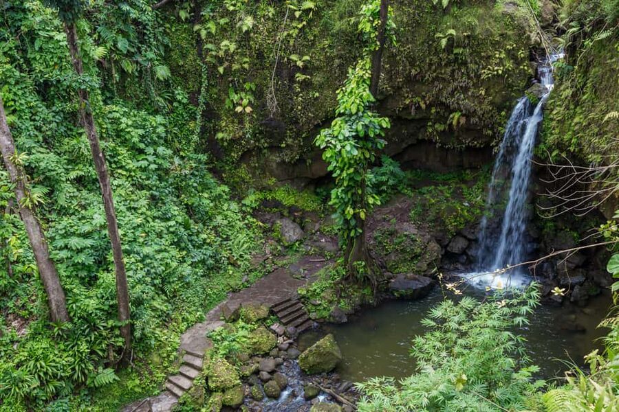 Dominica: Emerald Pool and Mero Beach Shore Excursion - The swim stop: how to enjoy it (and what to expect in the water)
