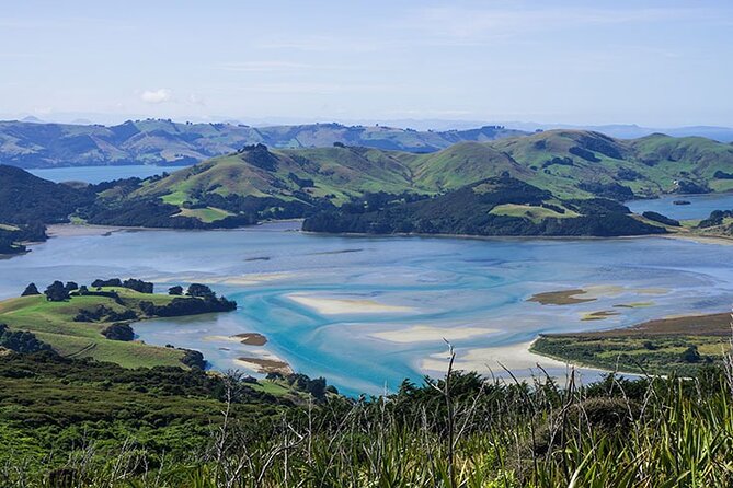 Dunedin Shore Excursion City Sightseeing & Tour of Larnach Castle - The Two-Hour City Highlights Tour: Otago, Baldwin Street, and Harbor Views