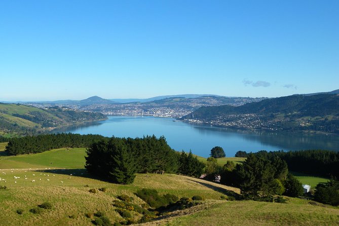 Dunedin Shore Excursion - Sightseeing, Larnach Castle, Chinese Garden & Museum - Toitu Otago Settlers Museum: turning stops into meaning