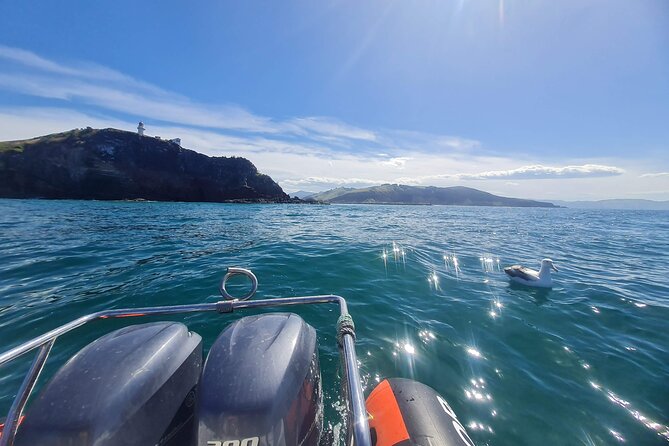 Dunedin Shore Excursion - Sightseeing, Larnach Castle, Chinese Garden & Museum - Should you book this Dunedin shore excursion?