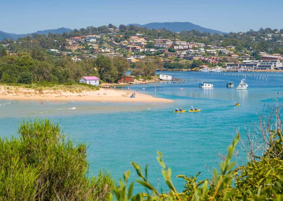 Eden: Sapphire Coast 4 Hour Shore Excursion - Key Highlights You’ll Remember