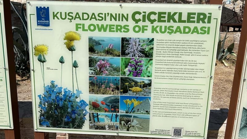 Ephesus tours wholesalerShopTours from cruise port Kusadasi - Adasaray hamam break: a chance to reset
