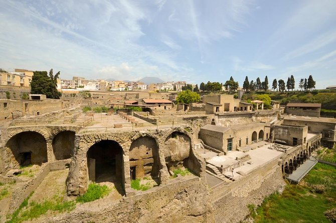 Explosive Naples Private Shore Excursion: Pompeii, Herculaneum and Vesuvius - Who this Naples volcano day fits best